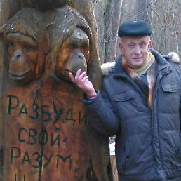 ���� ��������, ����, 66 ��� - ��������� 6 ������ 2017