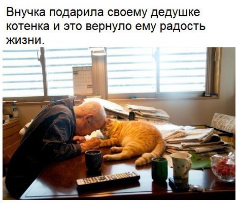   :    - 23  2017  23:35