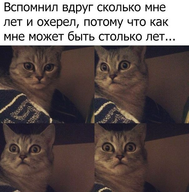  - 7  2017  23:05