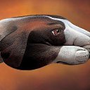  Name:oleg, , 67  -  21  2017    