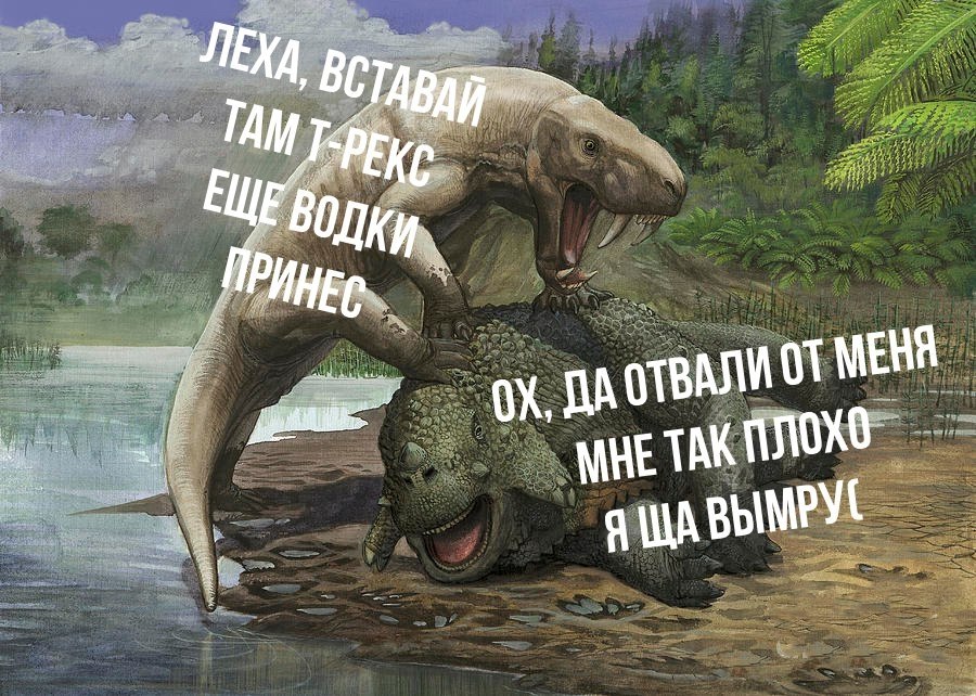    - 6  2017  21:24