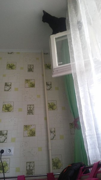#_.     , ,    ))))   ... - 7