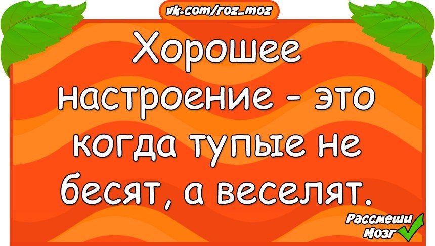  - 6  2017  03:43