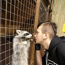 ���� ����, �������, 36 ��� - ��������� 22 ������� 2017 � ������ ���� ����������