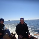 ���� ������, �����������-��-�����, 44 ���� - ��������� 28 ������� 2017 � ������ �2017�