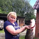 ���� �������, ���������, 61 ��� - ��������� 28 ���� 2017 � ������ ���� ����������