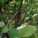 ���� �������, ������, 55 ��� - ��������� 19 ��� 2017 � ������ ���� ����������