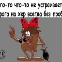 ���� �������, ������ - ��������� 11 �������� 2017 � ������ ������ ��������