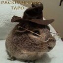 ���� ������, ������������ - ��������� 31 ������� 2017 � ������ ���� ����������