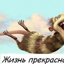 ���� �������, ��������, 52 ���� - ��������� 7 �������� 2017