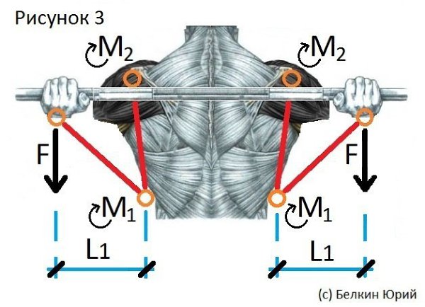    .     ,       ... - 3