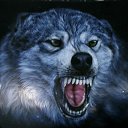 ���� �������� �������, ������ - ��������� 14 �������� 2017 � ������ ������ ��������