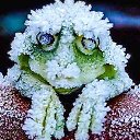 ���� �������������, ����, 45 ��� - ��������� 10 ������ 2017 � ������ ���� ����������