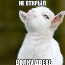 ���� �����, ������ - ��������� 25 �������� 2017 � ������ ������ ��������