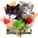 ���� ������, ������ - ��������� 6 ������ 2017 � ������ ������ ��������