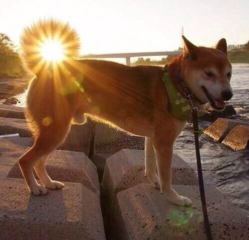   =)