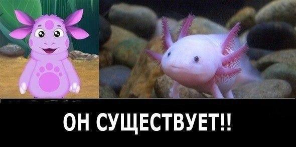    :D - 20  2017  22:36
