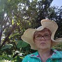 ���� ������, ������������, 66 ��� - ��������� 24 ������� 2017 � ������ ���� ����������