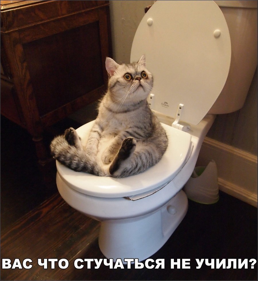    :D - 5  2017  04:31