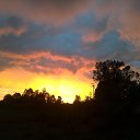  Nikolai, , 72  -  22  2017    