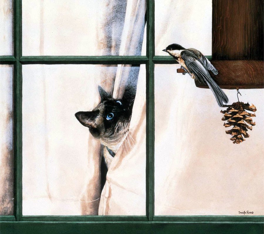 ))).  . Sueellen Ross   ,     ... - 11