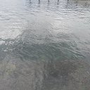  , , 60  -  6  2017   , ,06.09.17. ,...