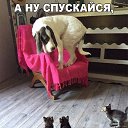 ���� �������, ������ - ��������� 14 ���� 2017 � ������ ��������������