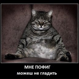 ���� ���������, ������, 49 ��� - ��������� 26 �������� 2017