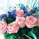 ���� ���������, ������ - ��������� 27 ��� 2017 � ������ ���� ����������