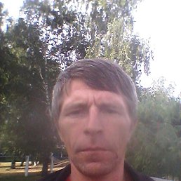 ����, �������, 46 ���