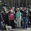 ���� �������, �����-���������, 55 ��� - ��������� 14 ������ 2017 � ������ ���� ����������