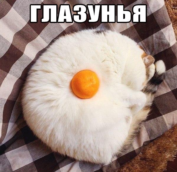   - 29  2017  12:07