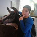 ���� ��������, �����-���������, 62 ���� - ��������� 4 ������ 2017 � ������ ���� ����������