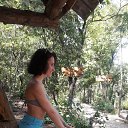 ���� ��������, ������, 38 ��� - ��������� 13 ������� 2017 � ������ ���� ����������