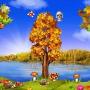  Surf, , 64  -  28  2017    -