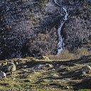 ���� Lilly, ����������� - ��������� 19 ��� 2017 � ������ ������ ��������