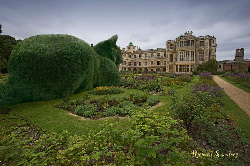 ))).Topiary Cat:     -       ... - 8