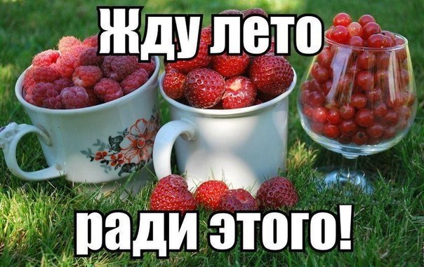    :D - 13  2017  17:31