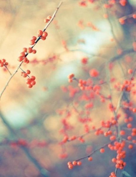 ������� | ���� 2016 | ������ | �������� | ������ - 20 ������� 2017 � 13:38