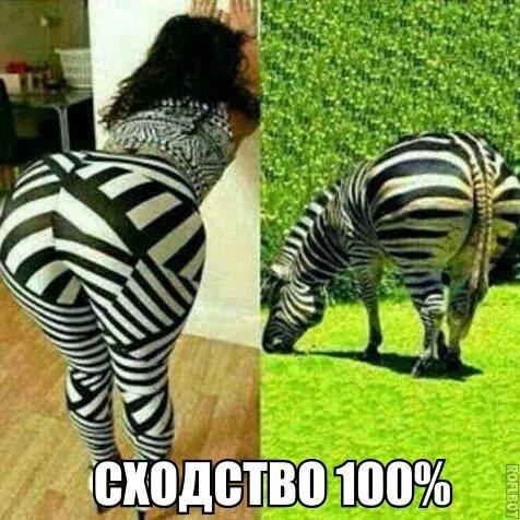   :D - 10  2017  03:49