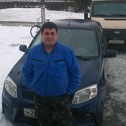 ���������, ��������, 41 ���