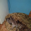 ���� �������, �����-���������, 45 ��� - ��������� 8 ����� 2018 � ������ ������ ��������