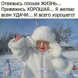 ����, �����-���������, 49 ���