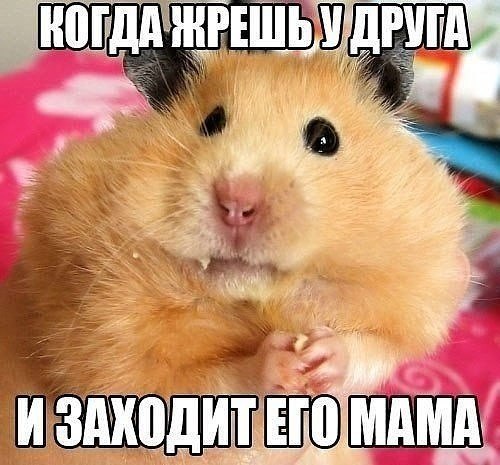 ��������� �������� �����)).���������� :)#������� #������� - 6