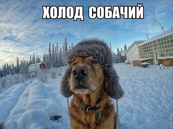 ? ,  ! - 25  2017  06:26