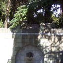 ���� ��������, �����������, 49 ��� - ��������� 11 ������� 2017 � ������ ���ʻ