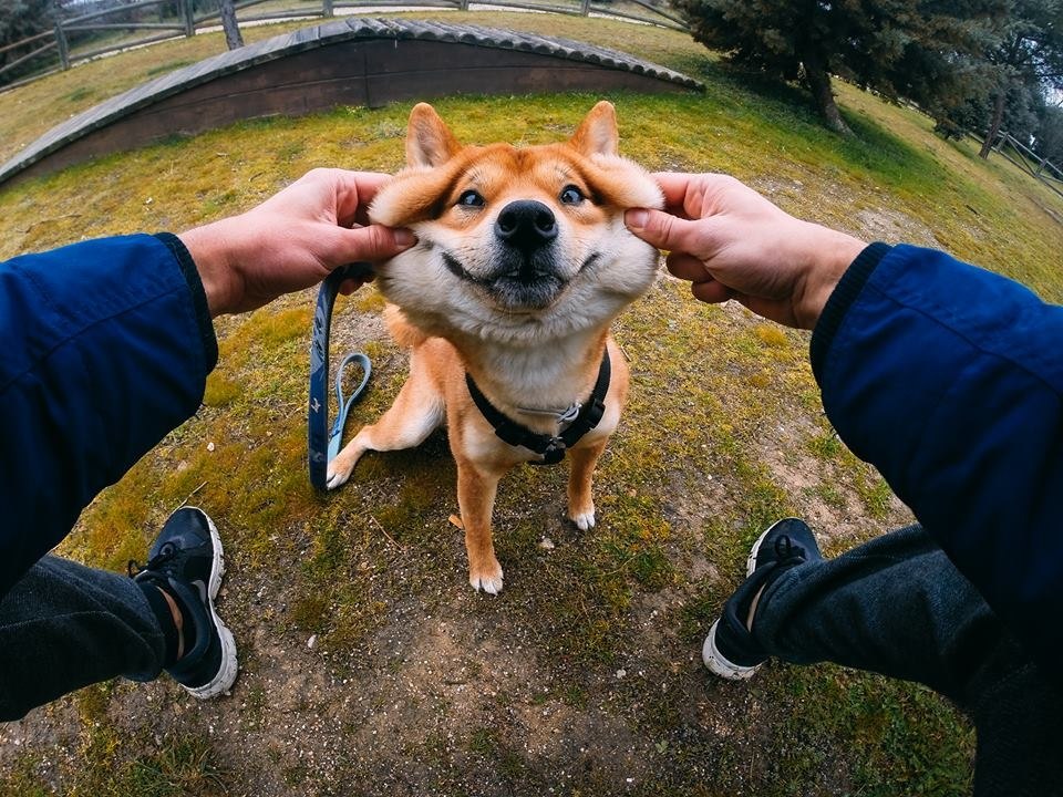    GoPro  2017 . - 6