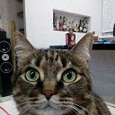 ���� ����, ��������, 57 ��� - ��������� 13 ������� 2017