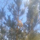 ���� ��������, �����-���������, 56 ��� - ��������� 24 ������� 2018 � ������ ���� ����������