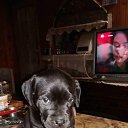 ���� Daniel, ʸ���, 51 ��� - ��������� 11 ���� 2018 � ������ ���� ����������